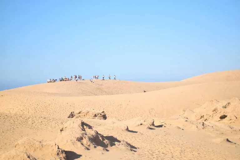Sandboarder small Sahara Morocco