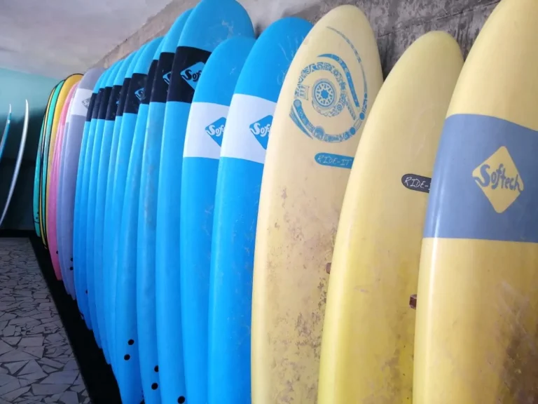 Surf school Equidment