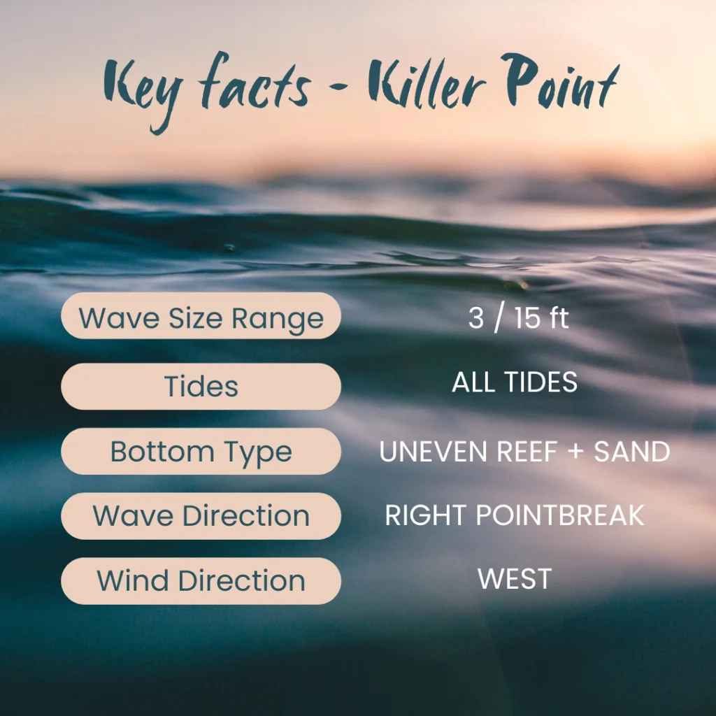 Description Surfspot Killer Point Taghazout Morocco